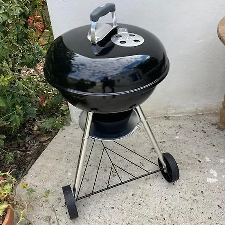 Petit Lupin De L'estuaire Saint-Nazaire-sur-Charente