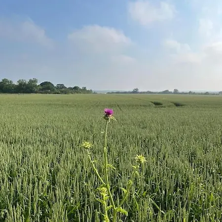 Petit Lupin De L'estuaire Lejlighed