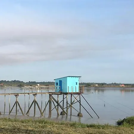 Petit Lupin De L'estuaire Saint-Nazaire-sur-Charente