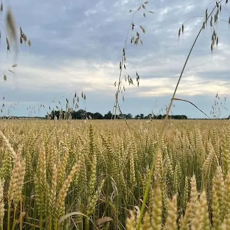 Petit Lupin De L'estuaire Lejlighed