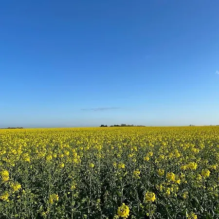 Petit Lupin De L'estuaire Apartment Saint-Nazaire-sur-Charente