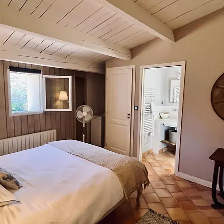 Petit Lupin De L'estuaire *