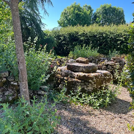 Petit Lupin De L'estuaire