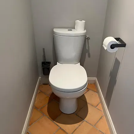 Petit Lupin De L'estuaire *