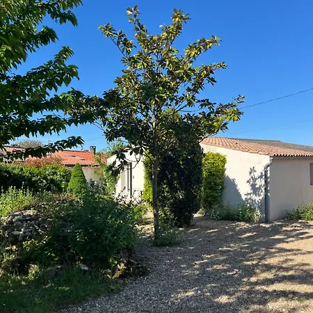 Petit Lupin De L'estuaire * Saint-Nazaire-sur-Charente