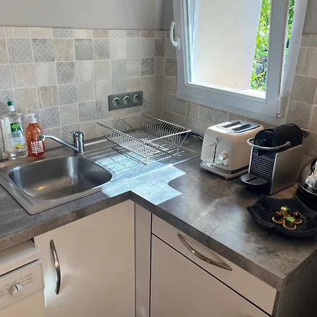 Petit Lupin De L'estuaire