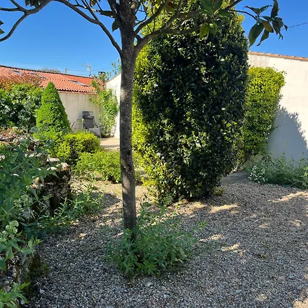 Lejlighed Petit Lupin De L'estuaire