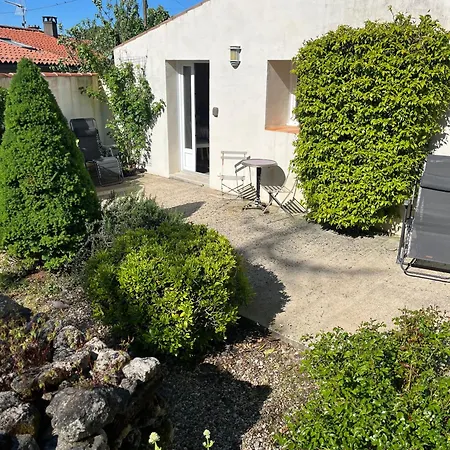 Petit Lupin De L'estuaire Saint-Nazaire-sur-Charente