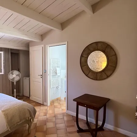 Petit Lupin De L'estuaire